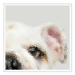 Artisan Pet Food